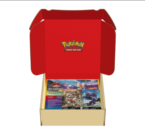Pokémon TCG Battle Academy, Lycanroc V Battle Deck & Corviknight V Battle Deck Bundle