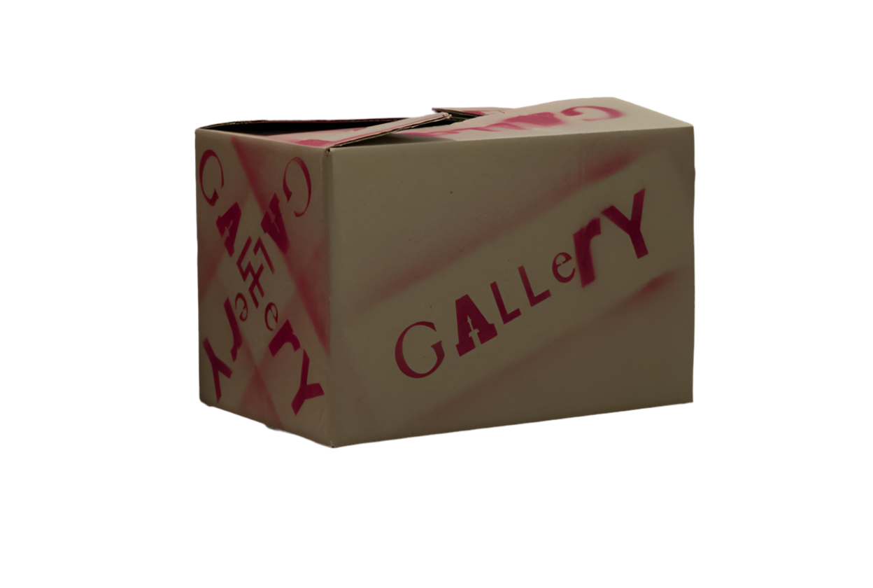 GALLERY Mystery Box 2025