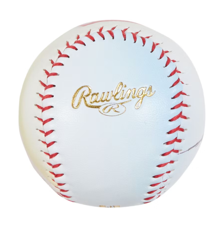 Supreme Rawlings REV1X Aerial Baseball Multicolor