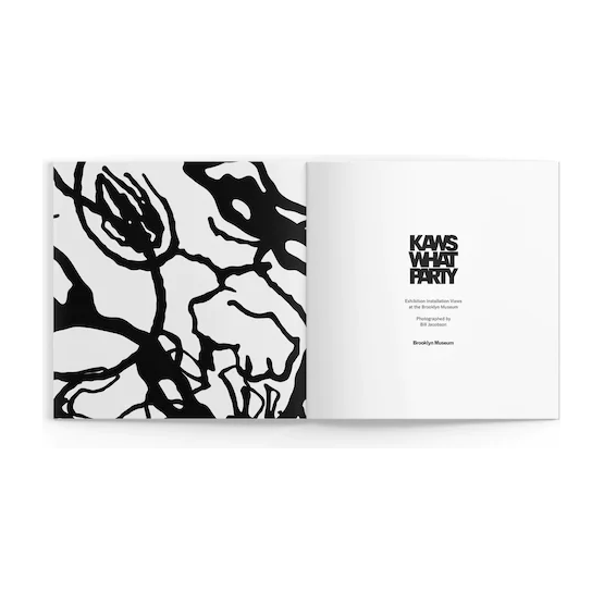 KAWS What Party Booklet