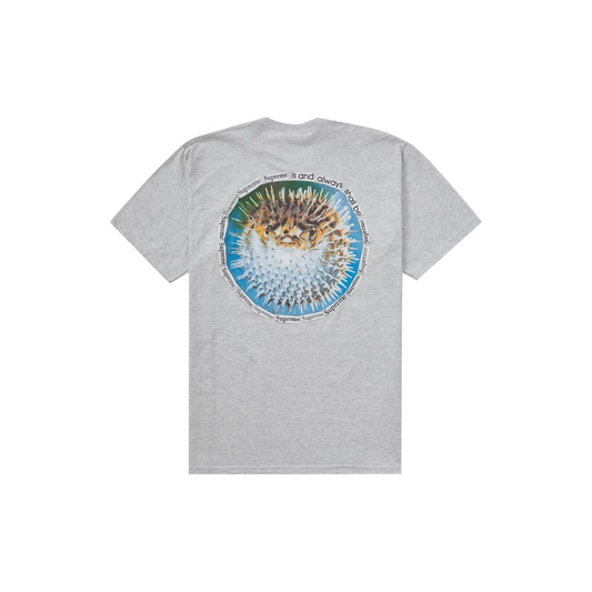 Supreme Blowfish Tee Ash Grey