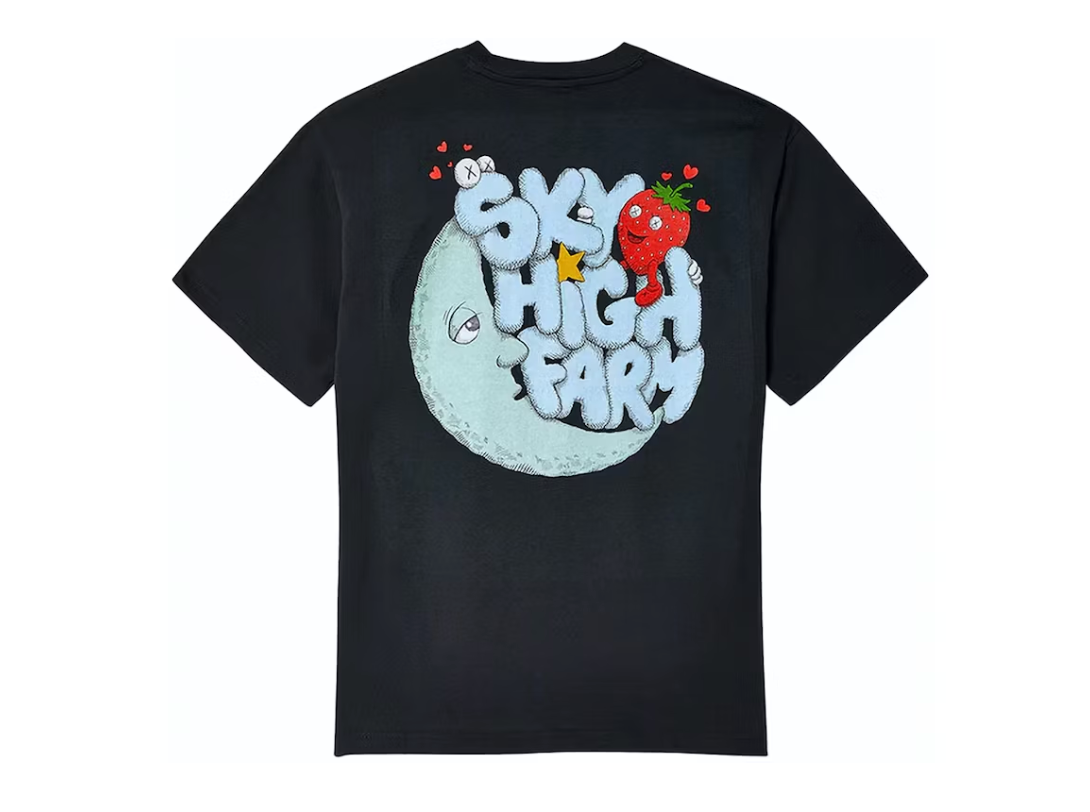 Nike x KAWS Sky High Farm Workwear Perennial Graphic T-shirt Black