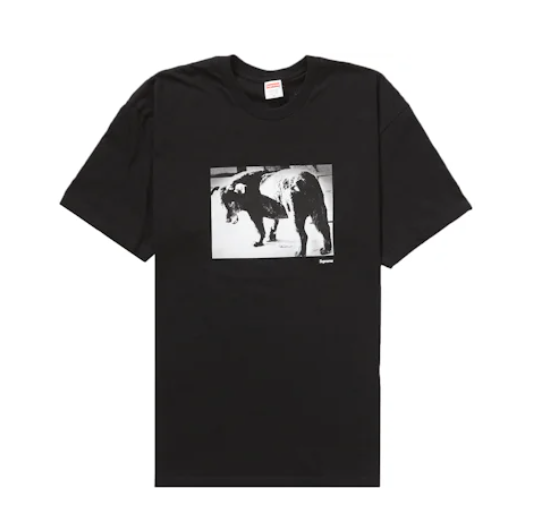 Supreme Daido Moriyama Dog Tee Black