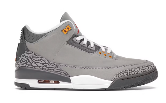 Jordan 3 Retro Cool Grey (2021) (PRE OWNED)