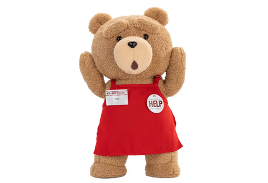 Pop Mart Ted2-ted Action Plush Figure
