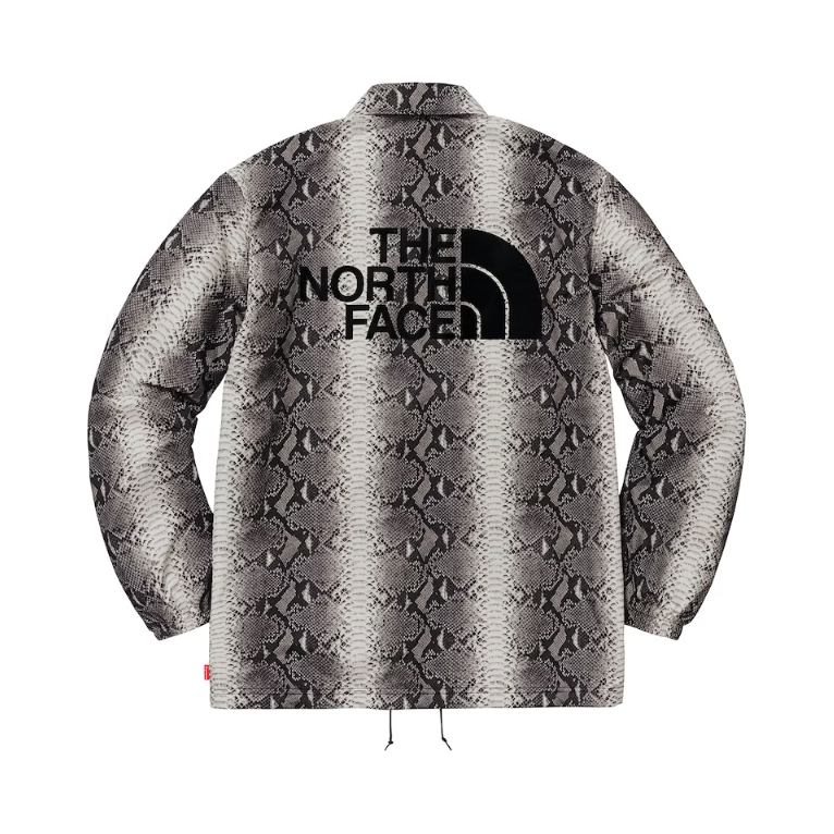 Supreme the north face hot sale snakeskin taped seam coaches jacket